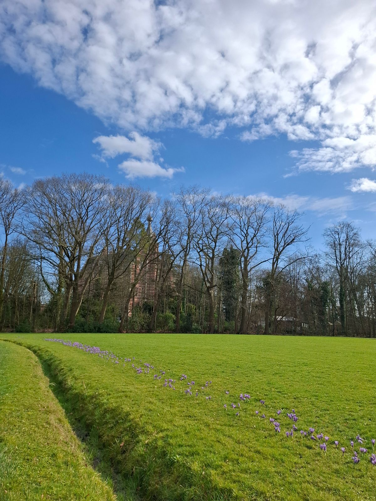 Grass Not Greening Up in Spring? Here's How to Tell Dormant From Dead